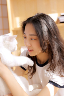 教授你还等什么在线
